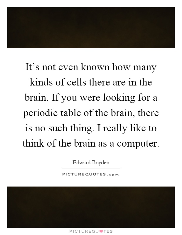 It's not even known how many kinds of cells there are in the brain. If you were looking for a periodic table of the brain, there is no such thing. I really like to think of the brain as a computer Picture Quote #1