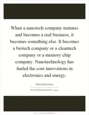 When a nanotech company matures and becomes a real business, it becomes something else. It becomes a biotech company or a cleantech company or a memory chip company. Nanotechnology has fueled the core innovations in electronics and energy Picture Quote #1
