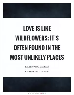 Love is like wildflowers; It’s often found in the most unlikely places Picture Quote #1