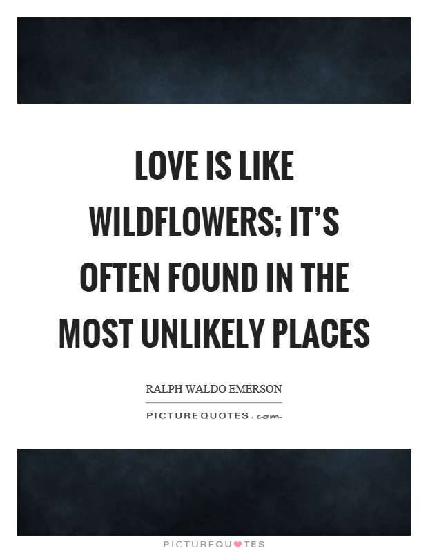Love is like wildflowers; It's often found in the most unlikely places Picture Quote #1