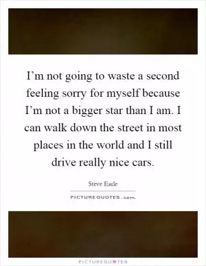 I’m not going to waste a second feeling sorry for myself because I’m not a bigger star than I am. I can walk down the street in most places in the world and I still drive really nice cars Picture Quote #1