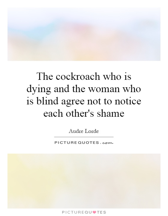 The cockroach who is dying and the woman who is blind agree not to notice each other's shame Picture Quote #1