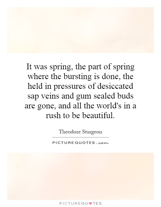 It was spring, the part of spring where the bursting is done, the held in pressures of desiccated sap veins and gum sealed buds are gone, and all the world's in a rush to be beautiful Picture Quote #1