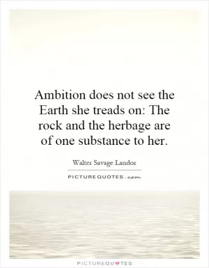 Ambition does not see the Earth she treads on: The rock and the herbage are of one substance to her Picture Quote #1