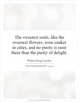 The sweetest souls, like the sweetest flowers, soon canker in cities, and no purity is rarer there than the purity of delight Picture Quote #1