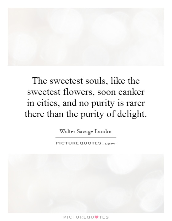The sweetest souls, like the sweetest flowers, soon canker in cities, and no purity is rarer there than the purity of delight Picture Quote #1