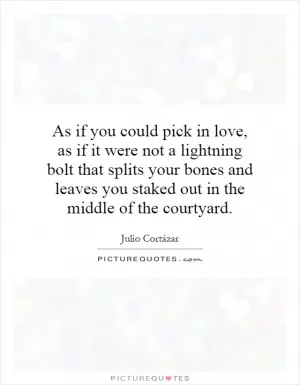 As if you could pick in love, as if it were not a lightning bolt that splits your bones and leaves you staked out in the middle of the courtyard Picture Quote #1