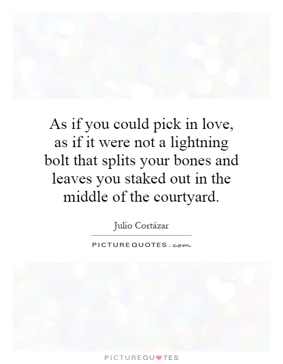 As if you could pick in love, as if it were not a lightning bolt that splits your bones and leaves you staked out in the middle of the courtyard Picture Quote #1