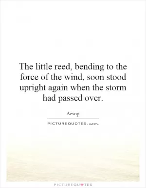 The little reed, bending to the force of the wind, soon stood upright again when the storm had passed over Picture Quote #1