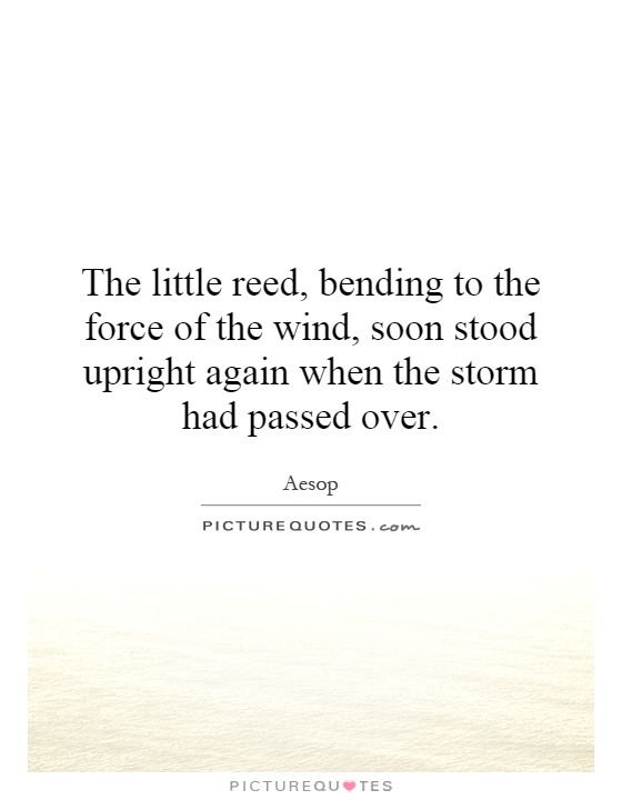 The little reed, bending to the force of the wind, soon stood upright again when the storm had passed over Picture Quote #1