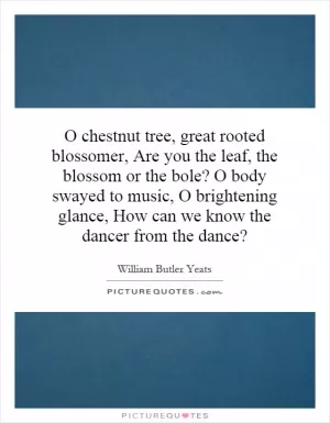 O chestnut tree, great rooted blossomer, Are you the leaf, the blossom or the bole? O body swayed to music, O brightening glance, How can we know the dancer from the dance? Picture Quote #1