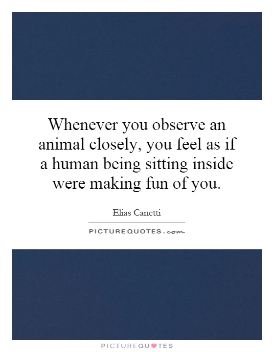 Whenever you observe an animal closely, you feel as if a human being sitting inside were making fun of you Picture Quote #1