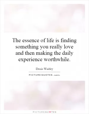 The essence of life is finding something you really love and then making the daily experience worthwhile Picture Quote #1