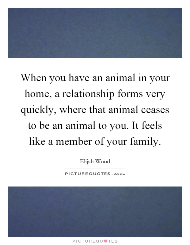 When you have an animal in your home, a relationship forms very quickly, where that animal ceases to be an animal to you. It feels like a member of your family Picture Quote #1