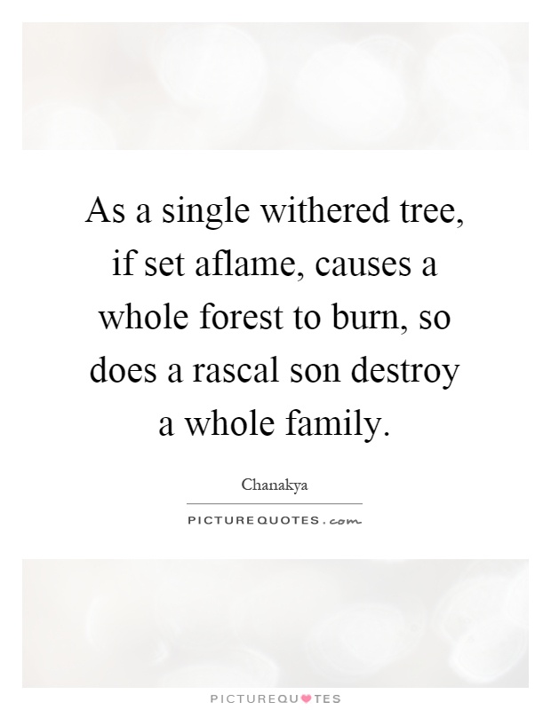 As a single withered tree, if set aflame, causes a whole forest to burn, so does a rascal son destroy a whole family Picture Quote #1