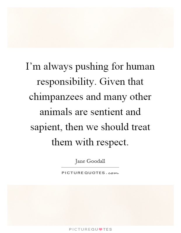 I'm always pushing for human responsibility. Given that chimpanzees and many other animals are sentient and sapient, then we should treat them with respect Picture Quote #1
