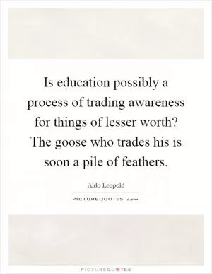 Is education possibly a process of trading awareness for things of lesser worth? The goose who trades his is soon a pile of feathers Picture Quote #1