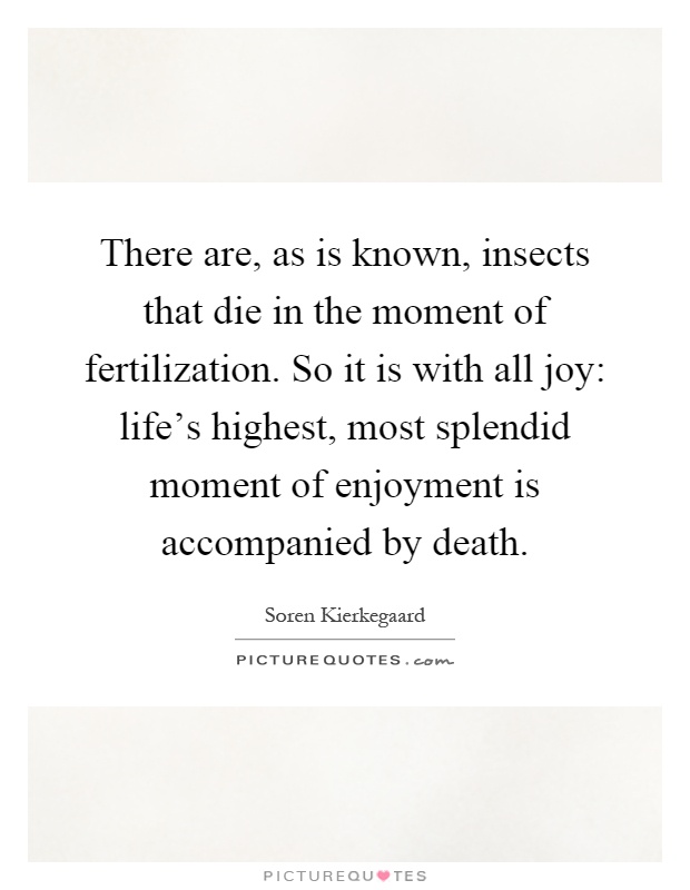 There are, as is known, insects that die in the moment of fertilization. So it is with all joy: life's highest, most splendid moment of enjoyment is accompanied by death Picture Quote #1