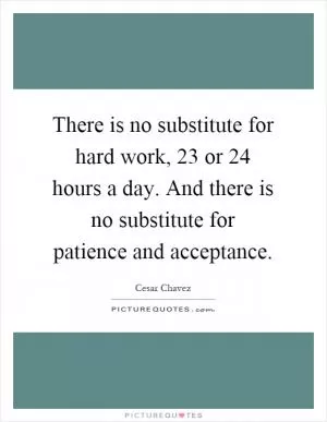 There is no substitute for hard work, 23 or 24 hours a day. And there is no substitute for patience and acceptance Picture Quote #1