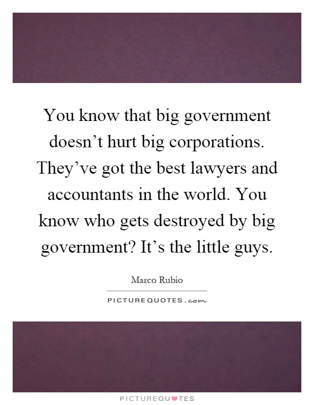 You know that big government doesn't hurt big corporations. They've got the best lawyers and accountants in the world. You know who gets destroyed by big government? It's the little guys Picture Quote #1