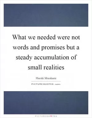 What we needed were not words and promises but a steady accumulation of small realities Picture Quote #1