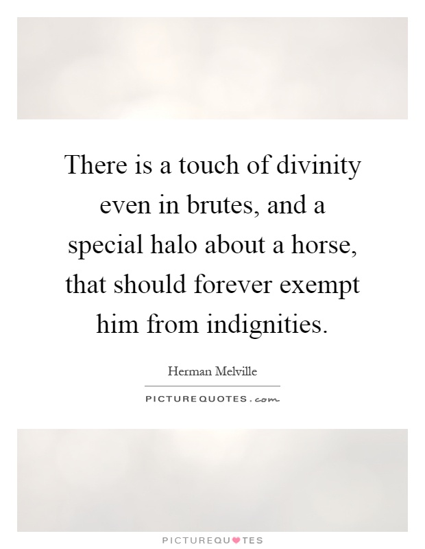 There is a touch of divinity even in brutes, and a special halo about a horse, that should forever exempt him from indignities Picture Quote #1