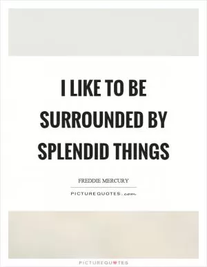 I like to be surrounded by splendid things Picture Quote #1