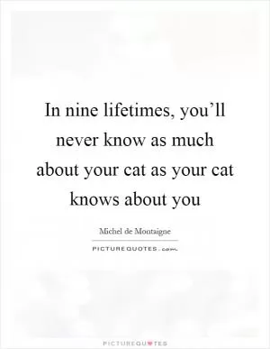 In nine lifetimes, you’ll never know as much about your cat as your cat knows about you Picture Quote #1