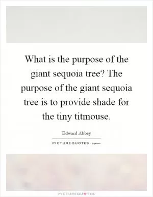 What is the purpose of the giant sequoia tree? The purpose of the giant sequoia tree is to provide shade for the tiny titmouse Picture Quote #1