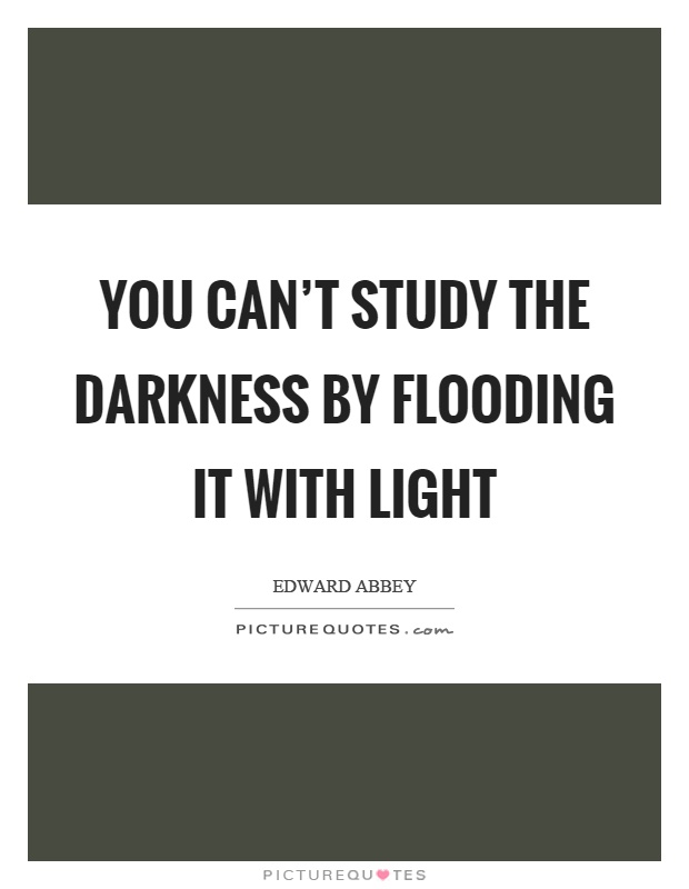 You can't study the darkness by flooding it with light Picture Quote #1