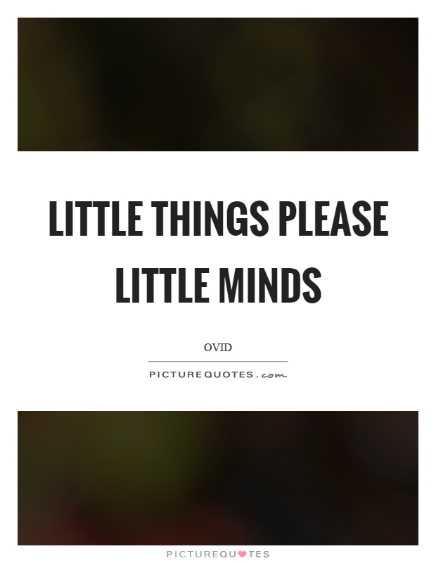 Little things please little minds Picture Quote #1