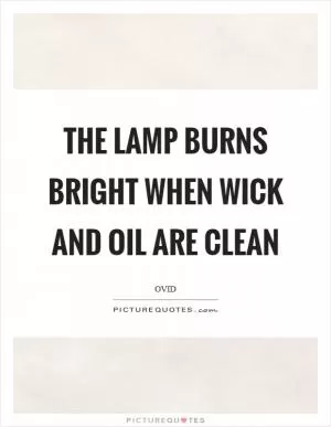 The lamp burns bright when wick and oil are clean Picture Quote #1