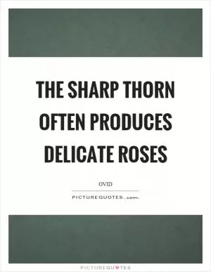 The sharp thorn often produces delicate roses Picture Quote #1