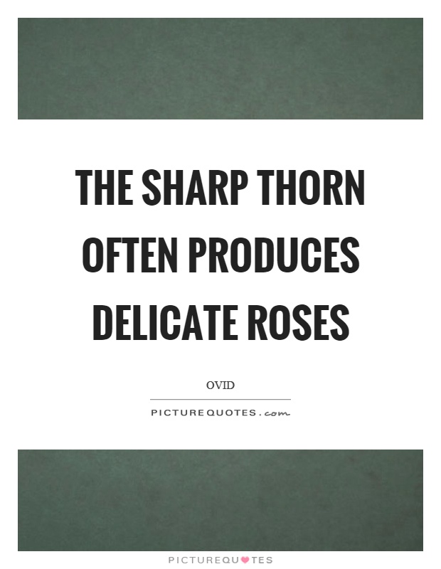 The sharp thorn often produces delicate roses Picture Quote #1