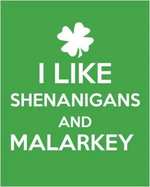 I like shenanigans and malarkey Picture Quote #1
