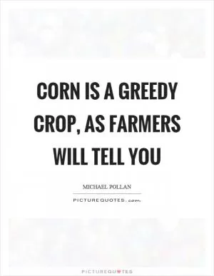 Corn is a greedy crop, as farmers will tell you Picture Quote #1