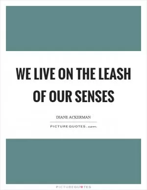 We live on the leash of our senses Picture Quote #1