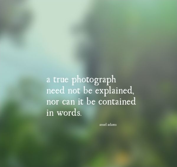 A true photograph need not be explained, nor can it be contained in words Picture Quote #2