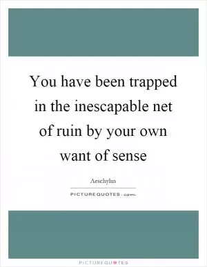 You have been trapped in the inescapable net of ruin by your own want of sense Picture Quote #1