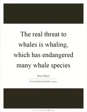The real threat to whales is whaling, which has endangered many whale species Picture Quote #1