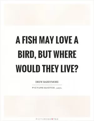 A fish may love a bird, but where would they live? Picture Quote #1