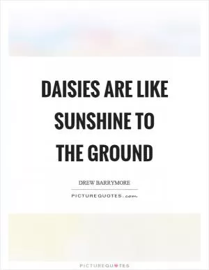 Daisies are like sunshine to the ground Picture Quote #1