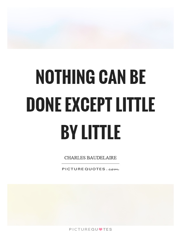 Nothing can be done except little by little Picture Quote #1