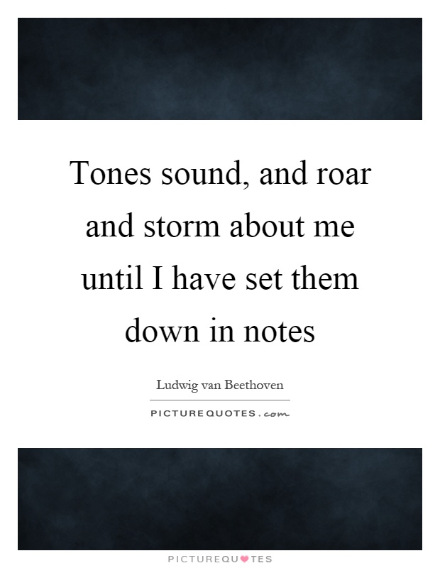 Tones sound, and roar and storm about me until I have set them down in notes Picture Quote #1