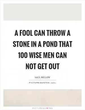 A fool can throw a stone in a pond that 100 wise men can not get out Picture Quote #1