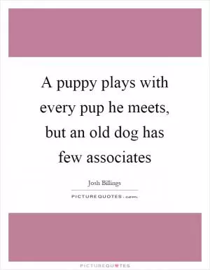 A puppy plays with every pup he meets, but an old dog has few associates Picture Quote #1