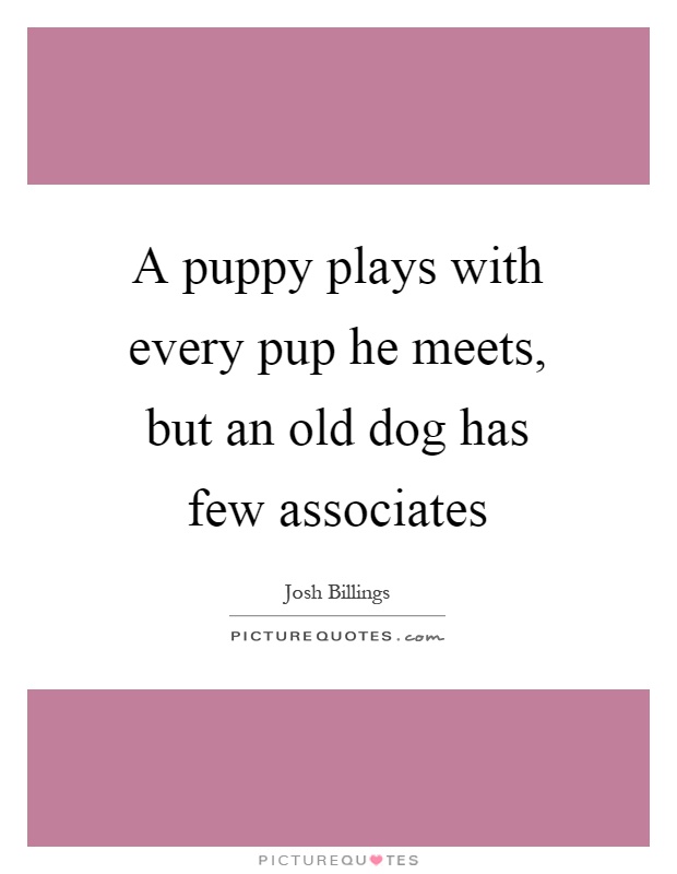 A puppy plays with every pup he meets, but an old dog has few associates Picture Quote #1