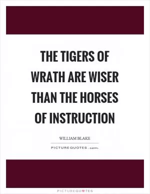 The tigers of wrath are wiser than the horses of instruction Picture Quote #1