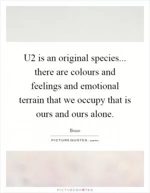U2 is an original species... there are colours and feelings and emotional terrain that we occupy that is ours and ours alone Picture Quote #1