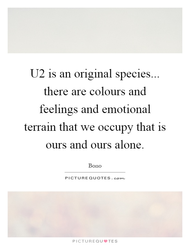 U2 is an original species... there are colours and feelings and emotional terrain that we occupy that is ours and ours alone Picture Quote #1